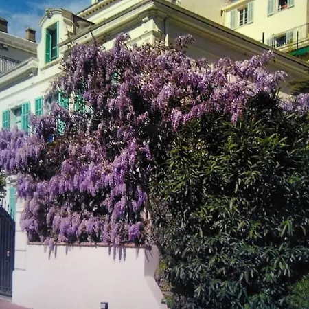 Maison d'hôtes Festival